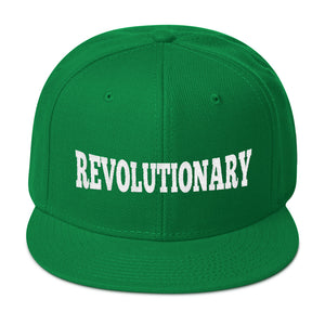 Revolutionary Immortal Intelligence Diamondz Original Clothing Embroidered Cap Snapback Hat