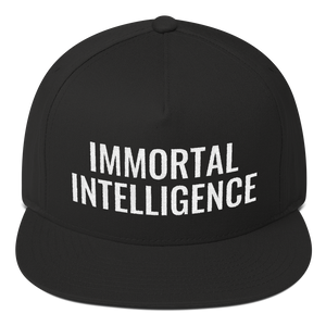Official Immortal Intelligence Embroidered Hat Flat Bill Cap Hell Razah Music Inc - Heaven Razah