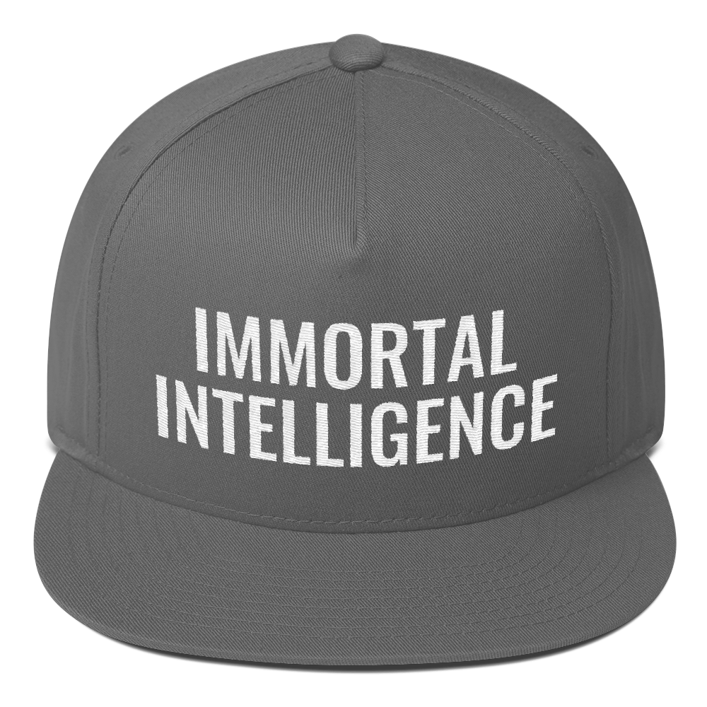 Official Immortal Intelligence Embroidered Hat Flat Bill Cap Hell Razah Music Inc - Heaven Razah